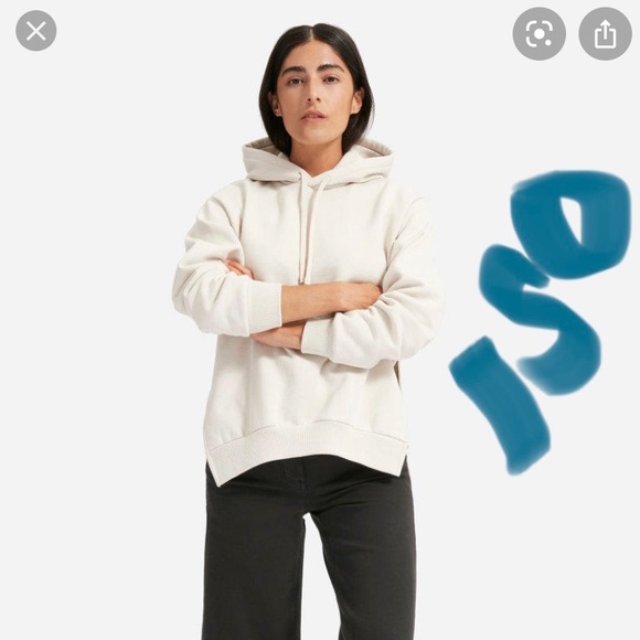 ISO Everlane ReNew Sweatshirt/Hoodie in Pale Sage - Picture 2 of 2